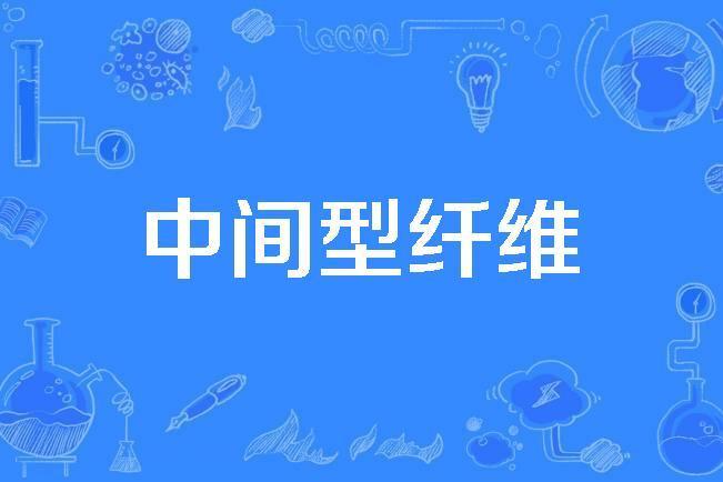 中間型纖維 中間型纖維