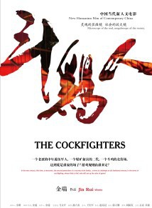 石涼(中國內地男演員、主持人)