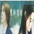 愛的迷途 愛的迷途