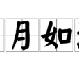 歲月如流(漢語詞語) 歲月如流(漢語詞語)