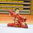 王琮(亞洲武術錦標賽槍術冠軍) 王琮(亞洲武術錦標賽槍術冠軍)