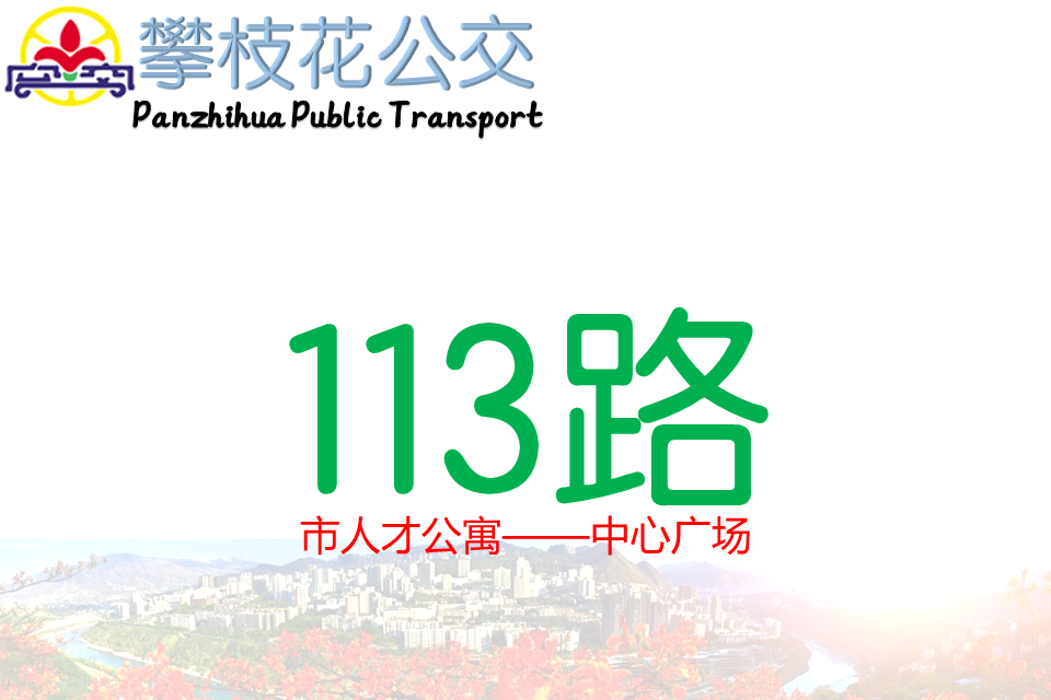 攀枝花公交113路 攀枝花公交113路