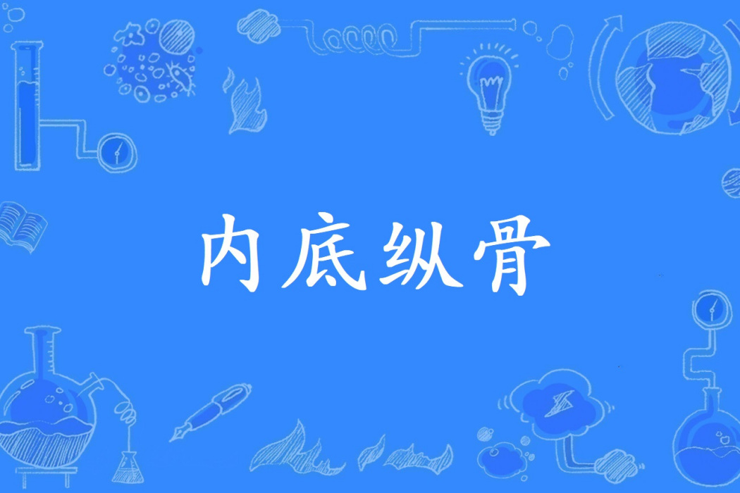 內底縱骨 內底縱骨