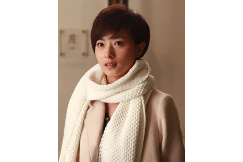 海蘭(家庭倫理劇《婚戰》中的女主角,由演員萬茜飾演) 海蘭(家庭倫理劇《婚戰》中的女主角,由演員萬茜飾演)