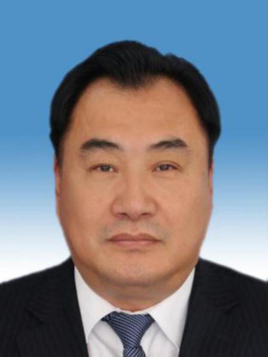 張學斌(遼寧省盤錦市大窪區原副區長、三級調研員) 張學斌(遼寧省盤錦市大窪區原副區長、三級調研員)