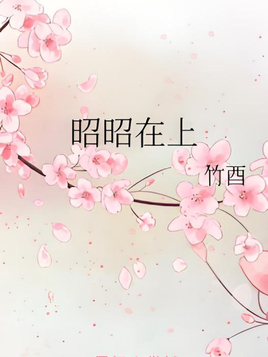 昭昭在上 昭昭在上