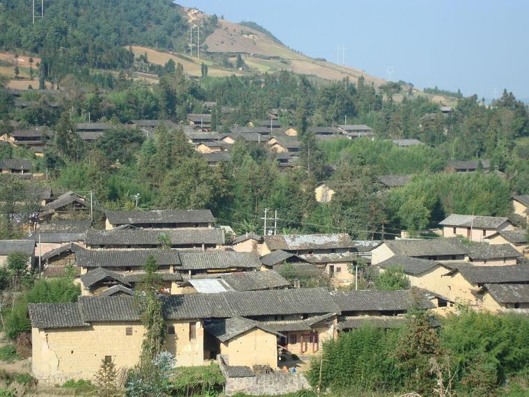 中楊柳河自然村