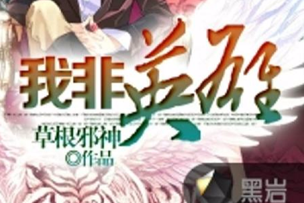 我非英雄(黑岩網小說)