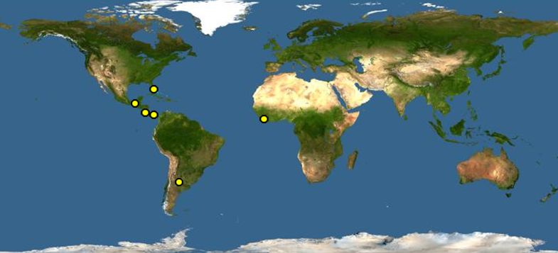 黃頸亞馬遜鸚鵡分布圖