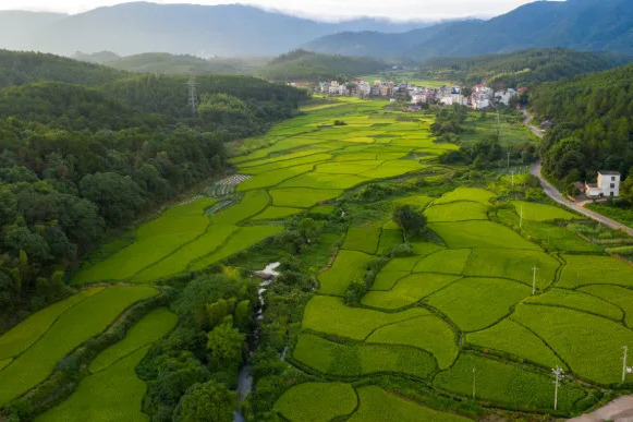 龍楠村 龍楠村
