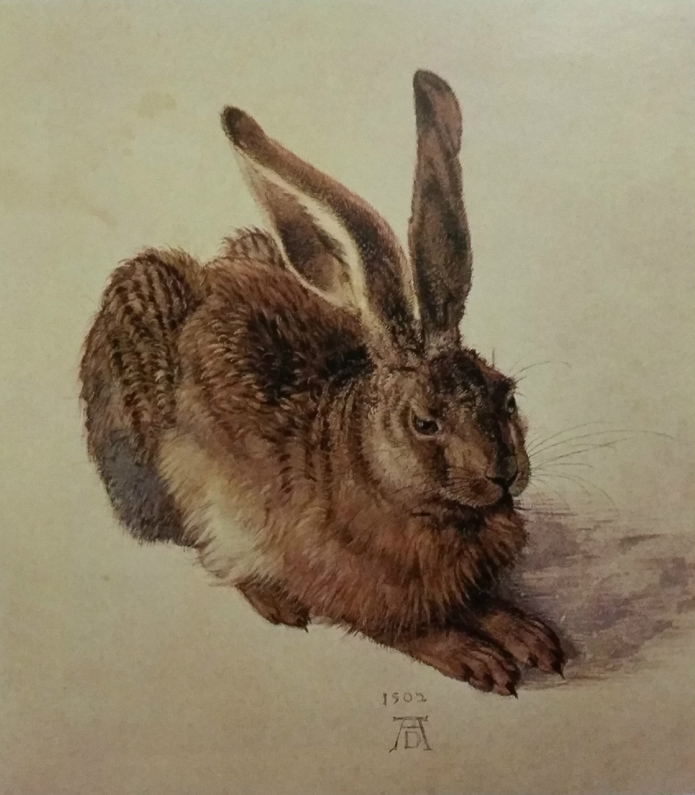 野兔(紙上水彩畫)