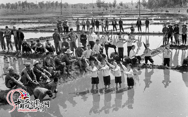 攝於1972年，晉祠國小的演出隊為花塔村水田裡勞作的村民表演