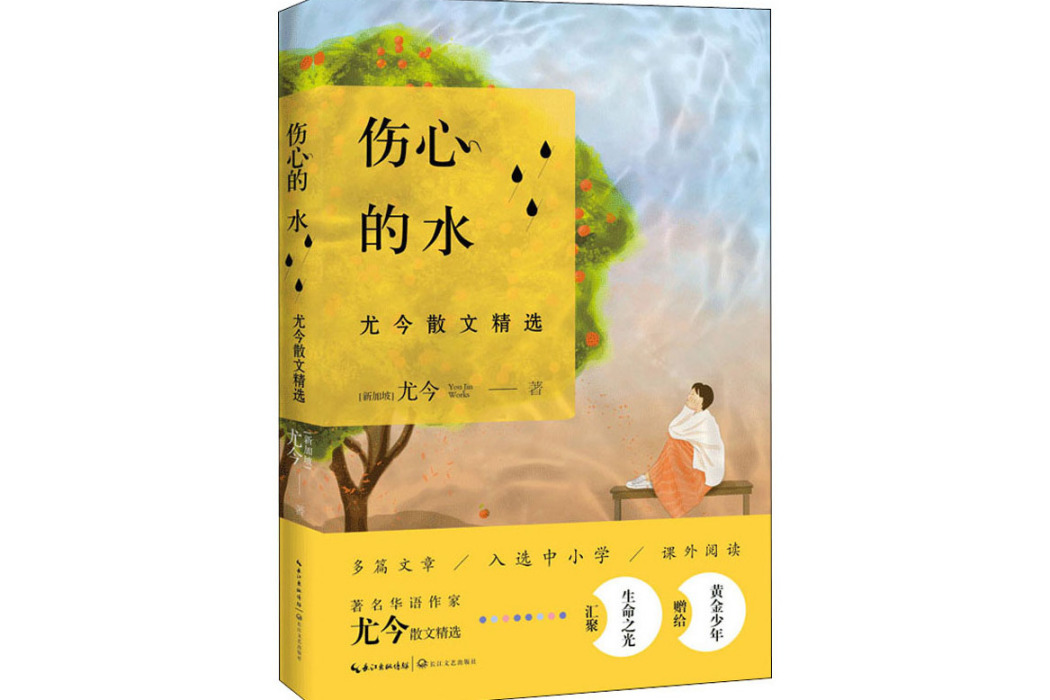 傷心的水(2020年長江文藝出版社出版的圖書) 傷心的水(2020年長江文藝出版社出版的圖書)