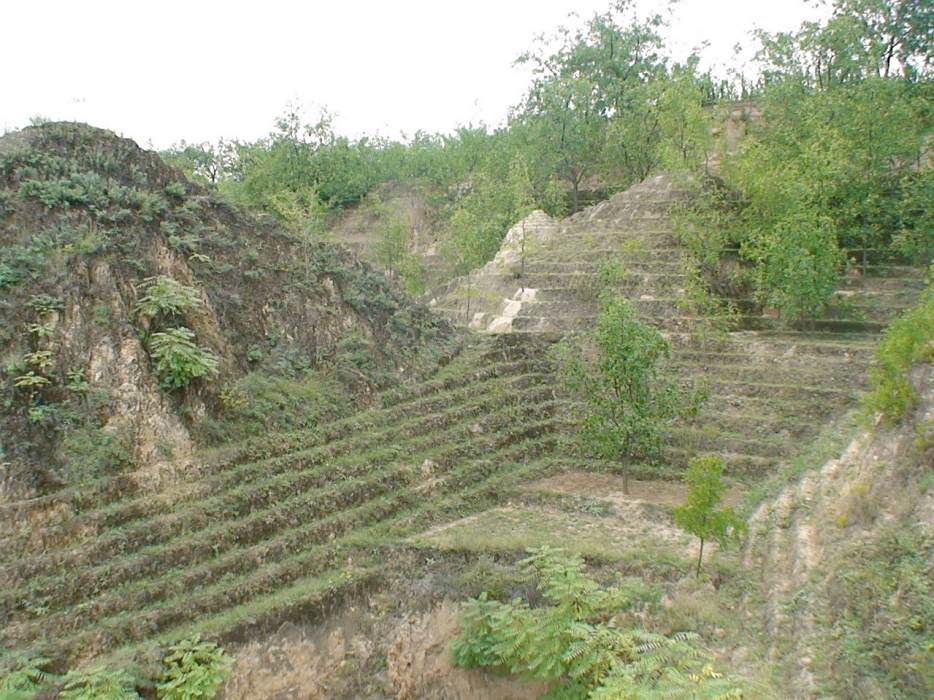 丘壑園 丘壑園