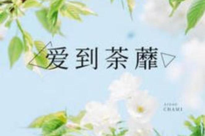 愛到荼蘼(子非子所著小說) 愛到荼蘼(子非子所著小說)