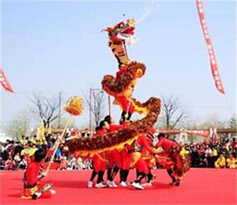 鳳羽龍 鳳羽龍