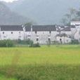 嘉樹鎮 嘉樹鎮