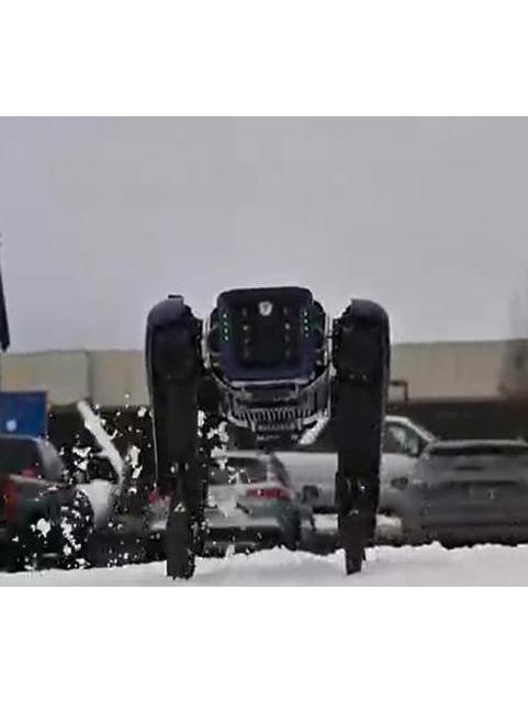 極光(費爾班克斯機場啟用的機器人) 極光(費爾班克斯機場啟用的機器人)