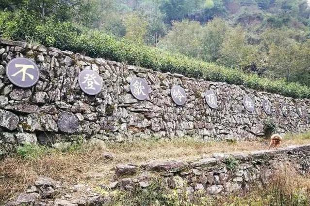 歙嶺古道 歙嶺古道