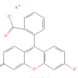 螢光素二鉀