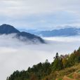 余家寨梯田 余家寨梯田
