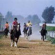 王務跑馬場 王務跑馬場
