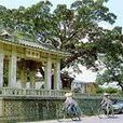 木棉亭 木棉亭