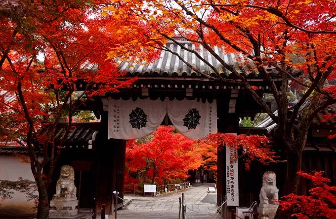 禪林寺(日本京都寺廟)