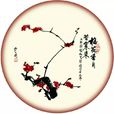 中國戲劇獎·梅花表演獎(梅花獎) 中國戲劇獎·梅花表演獎(梅花獎)