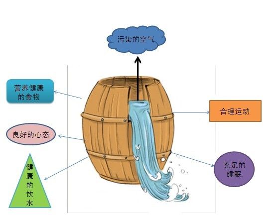 煙霧淨化 煙霧淨化