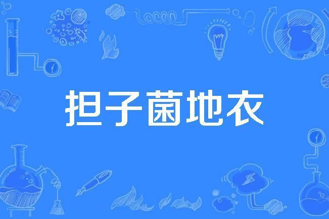 擔子菌地衣 擔子菌地衣