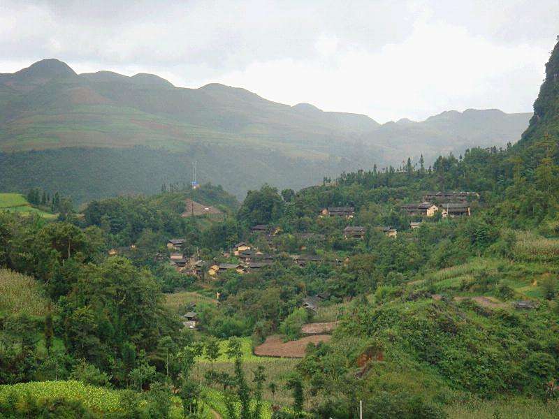 八圍樹村 八圍樹村
