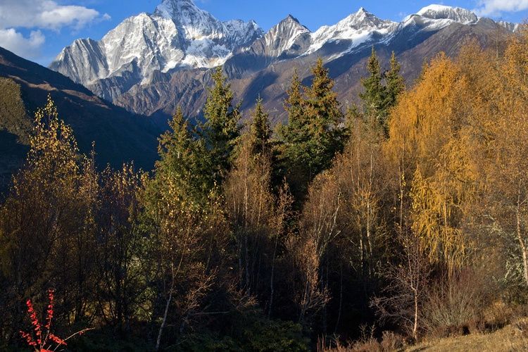 皇后山景區 皇后山景區