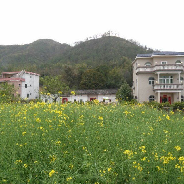 秀田村(貴州省天柱縣竹林鄉下轄村) 秀田村(貴州省天柱縣竹林鄉下轄村)