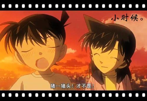 新蘭SR1314吧 新蘭SR1314吧