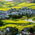 南京高淳國際慢城旅遊度假區(椏溪國際慢城)