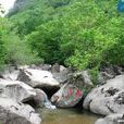陝西天華山國家級自然保護區