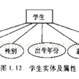 實體(資料庫實體) 實體(資料庫實體)