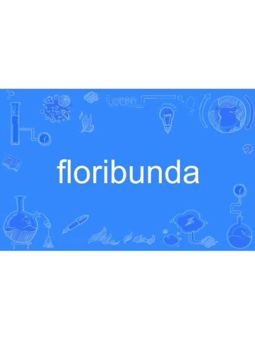 floribunda floribunda