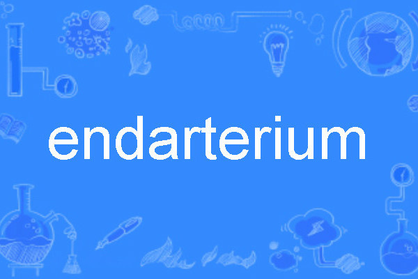 endarterium endarterium