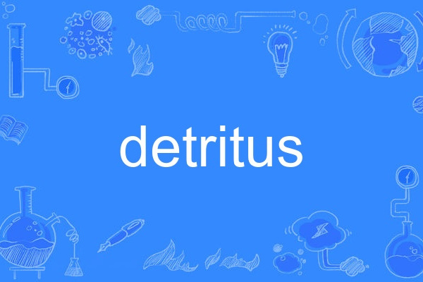 detritus detritus