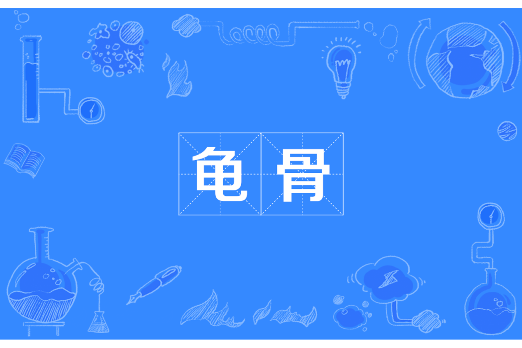 龜骨 龜骨