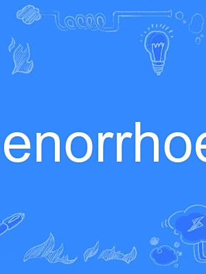 amenorrhoea amenorrhoea