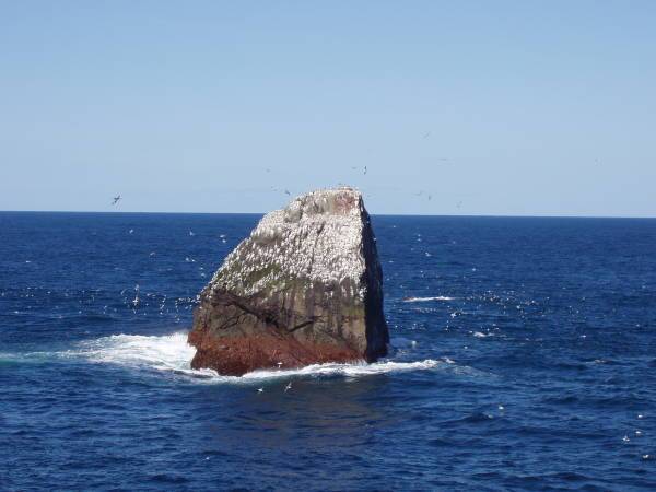 羅卡爾島 羅卡爾島