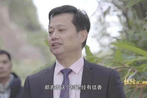 汪科元 汪科元
