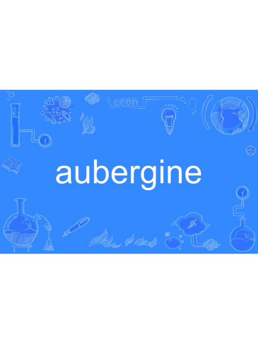 aubergine aubergine