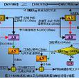 數字蜂窩技術