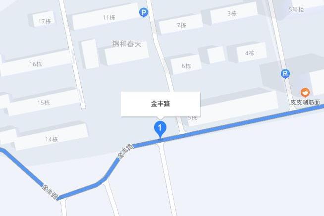 金豐路(寶雞市金台區金豐路) 金豐路(寶雞市金台區金豐路)