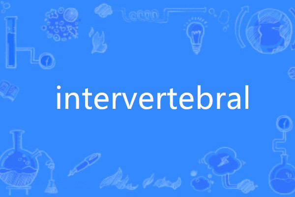 intervertebral intervertebral
