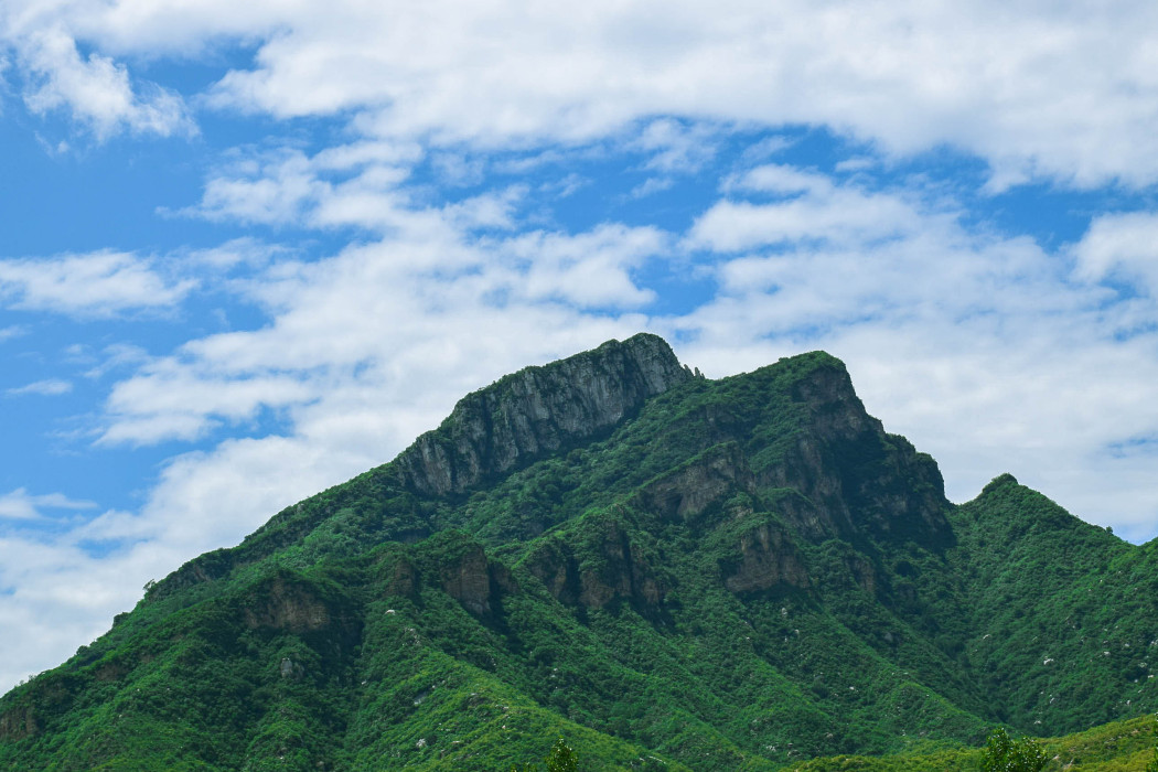 桑崗村 桑崗村